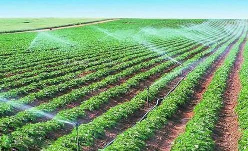 日老比农田高 效节水灌溉